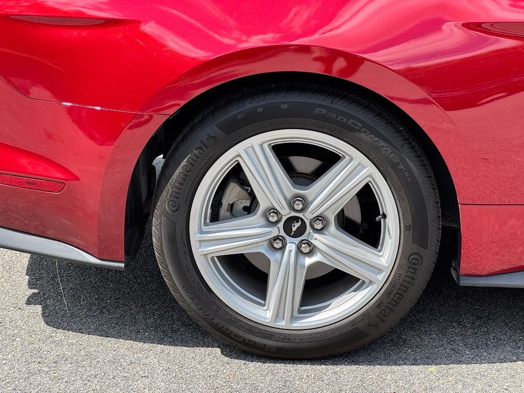 2019 Ford Mustang EcoBoost Premium