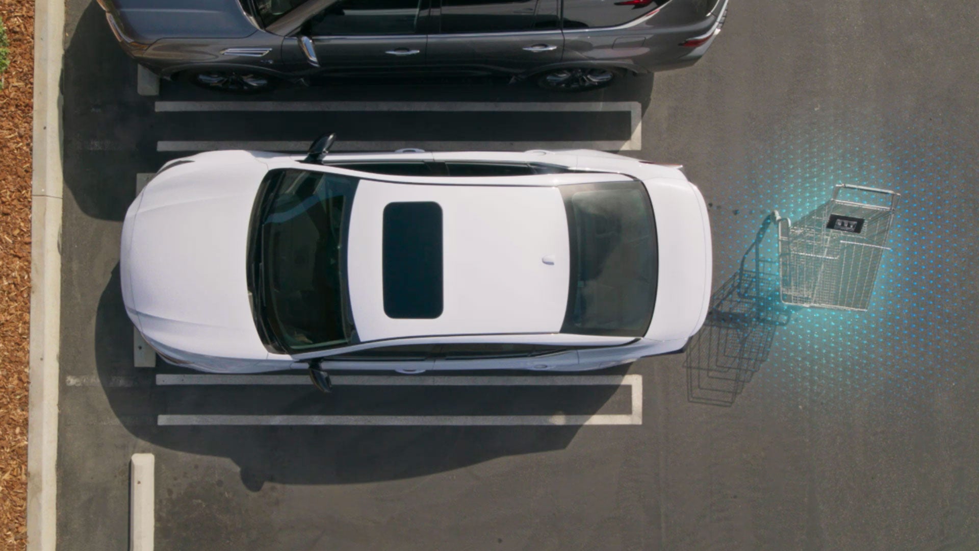 2026 Nissan Altima | Nissan of Roanoke Rapids in Roanoke Rapids, NC